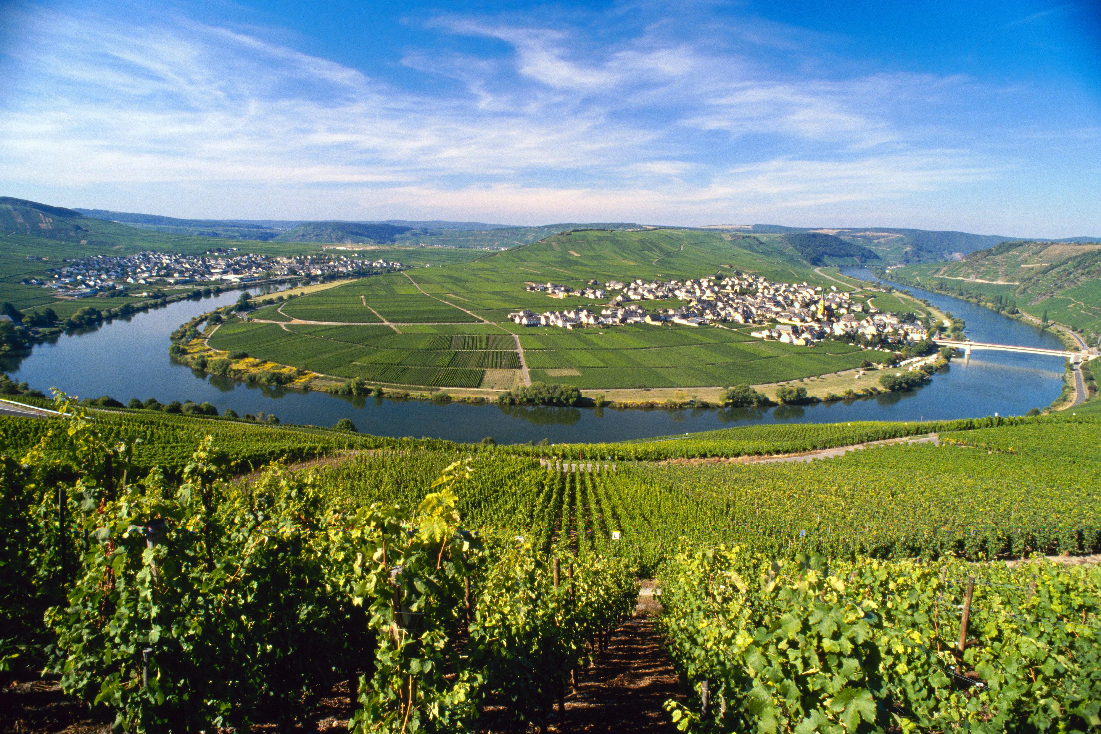 Weinanbaugebiet Mosel Moselschleife