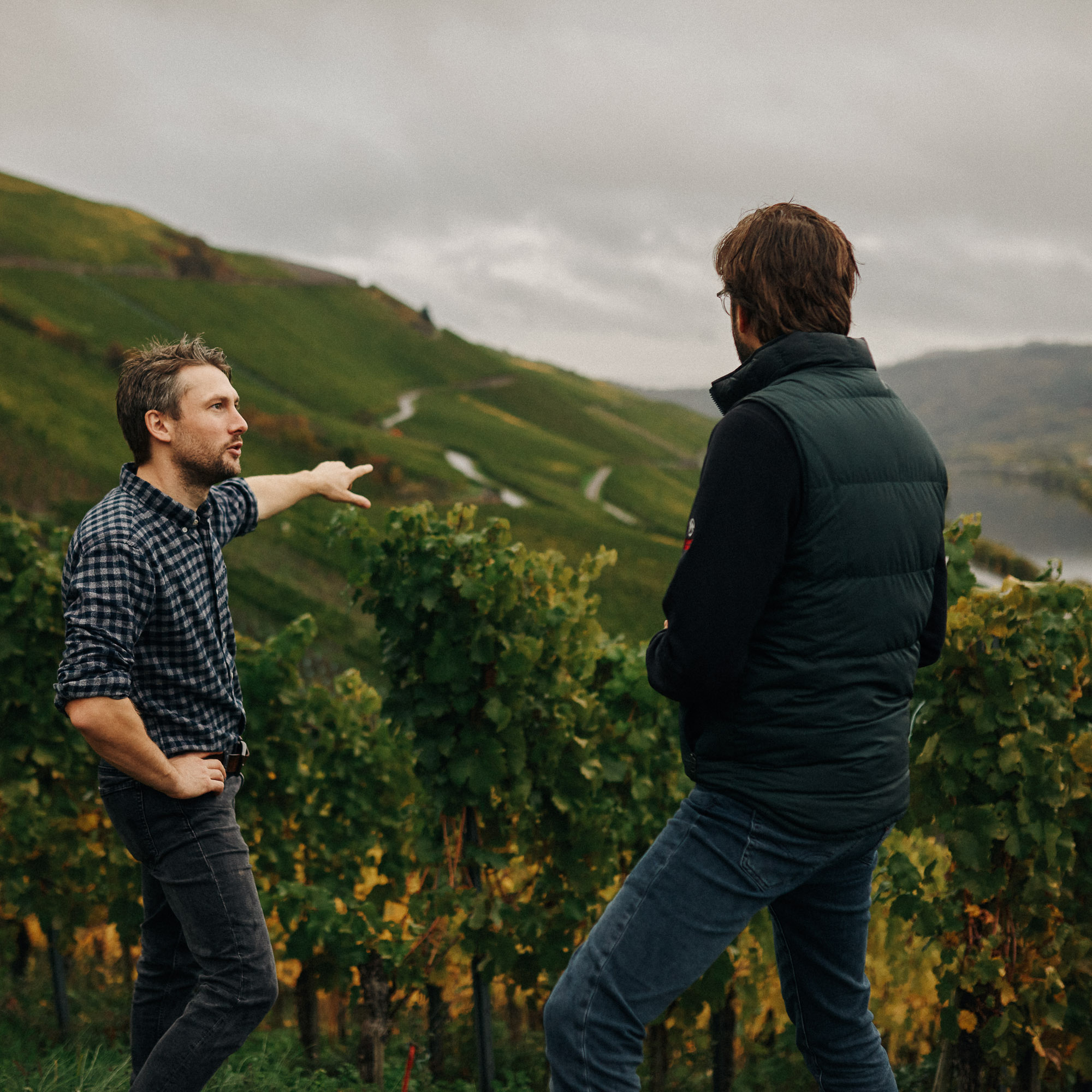 Ratskellermeister Janus im Weinberg Erdener Treppchen