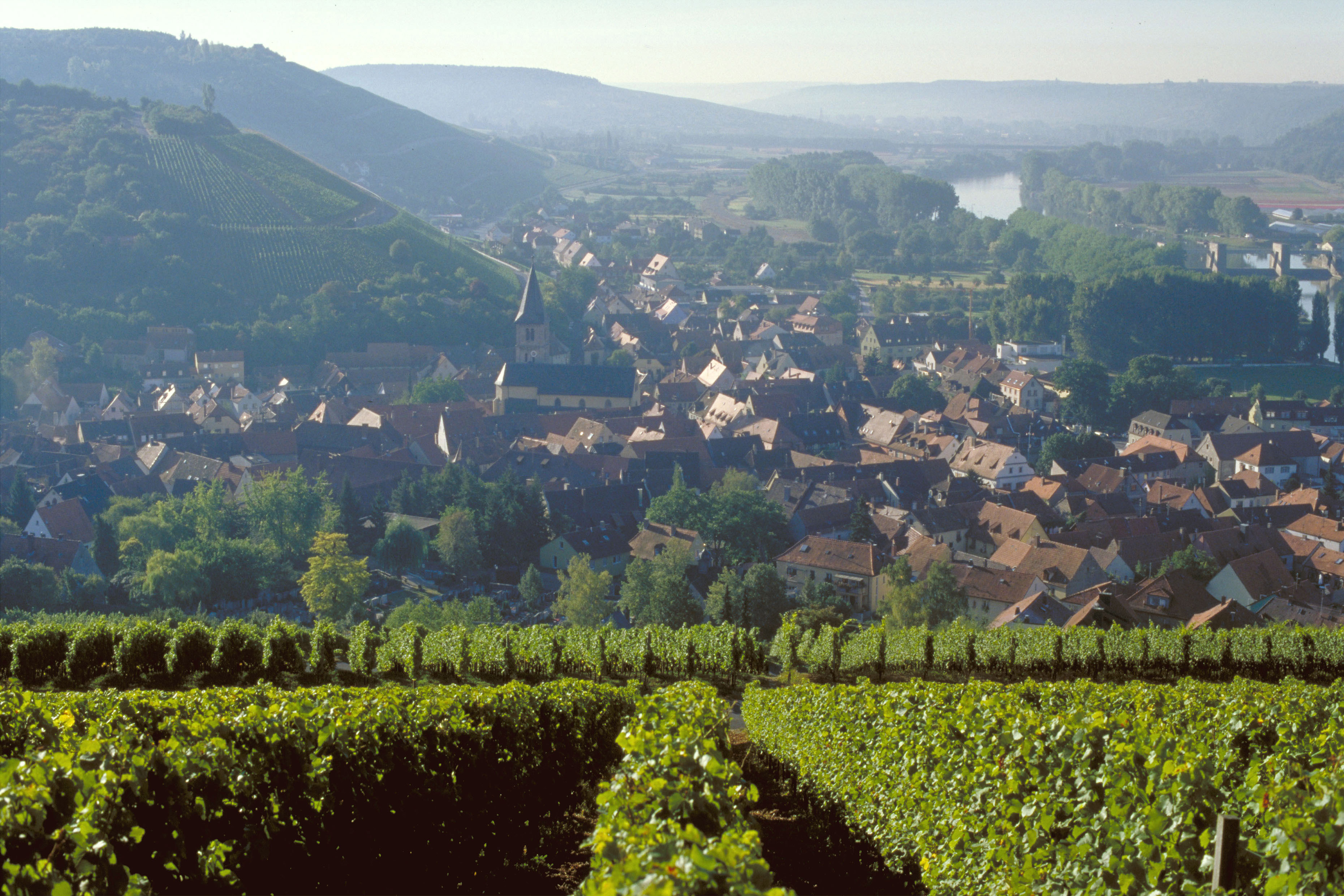 Weinanbaugebiet Franken Weinberg