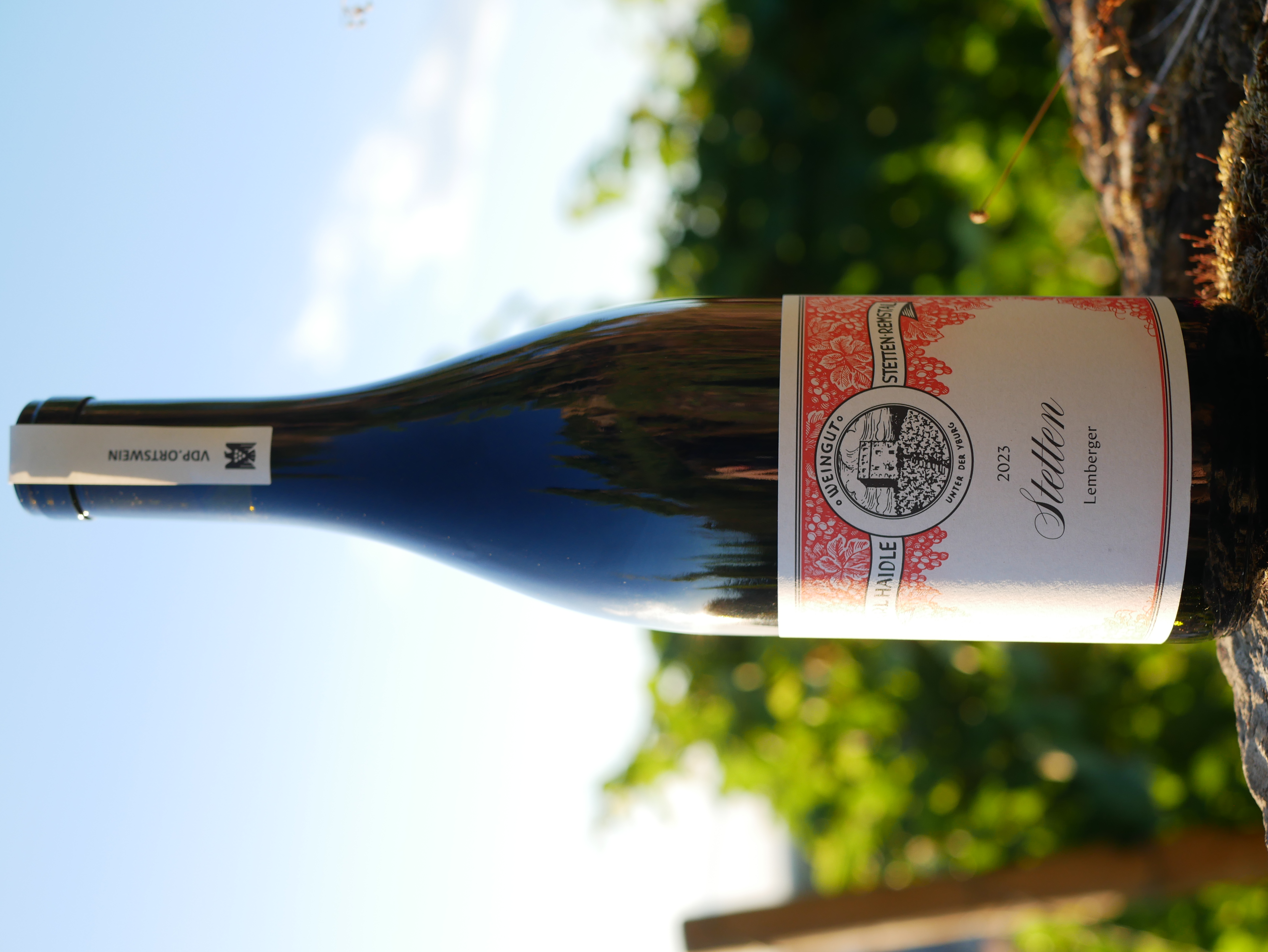 Stetten Lemberger trocken