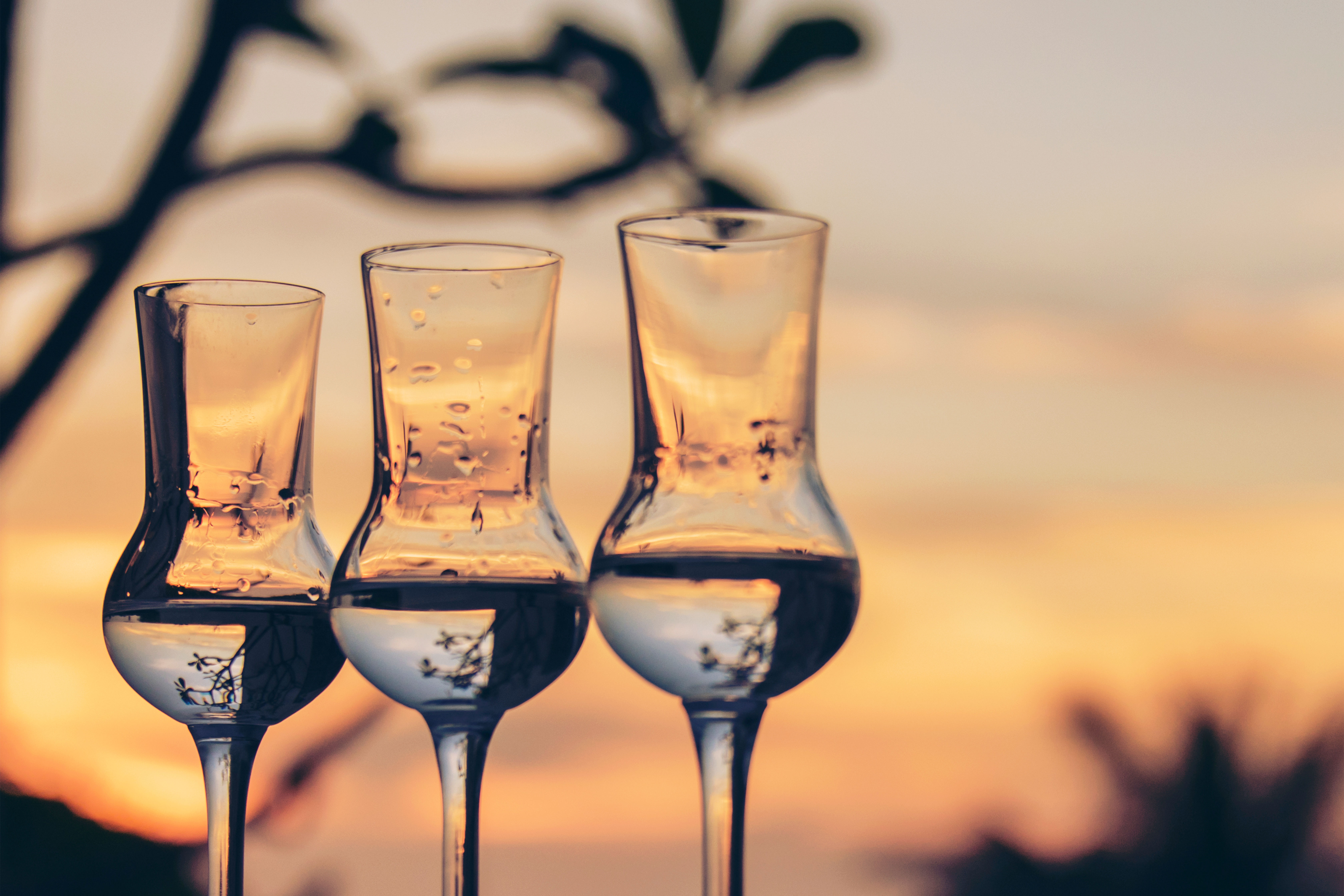 Destillate & Likör Digestif Gläser vor einem Sonnenuntergang