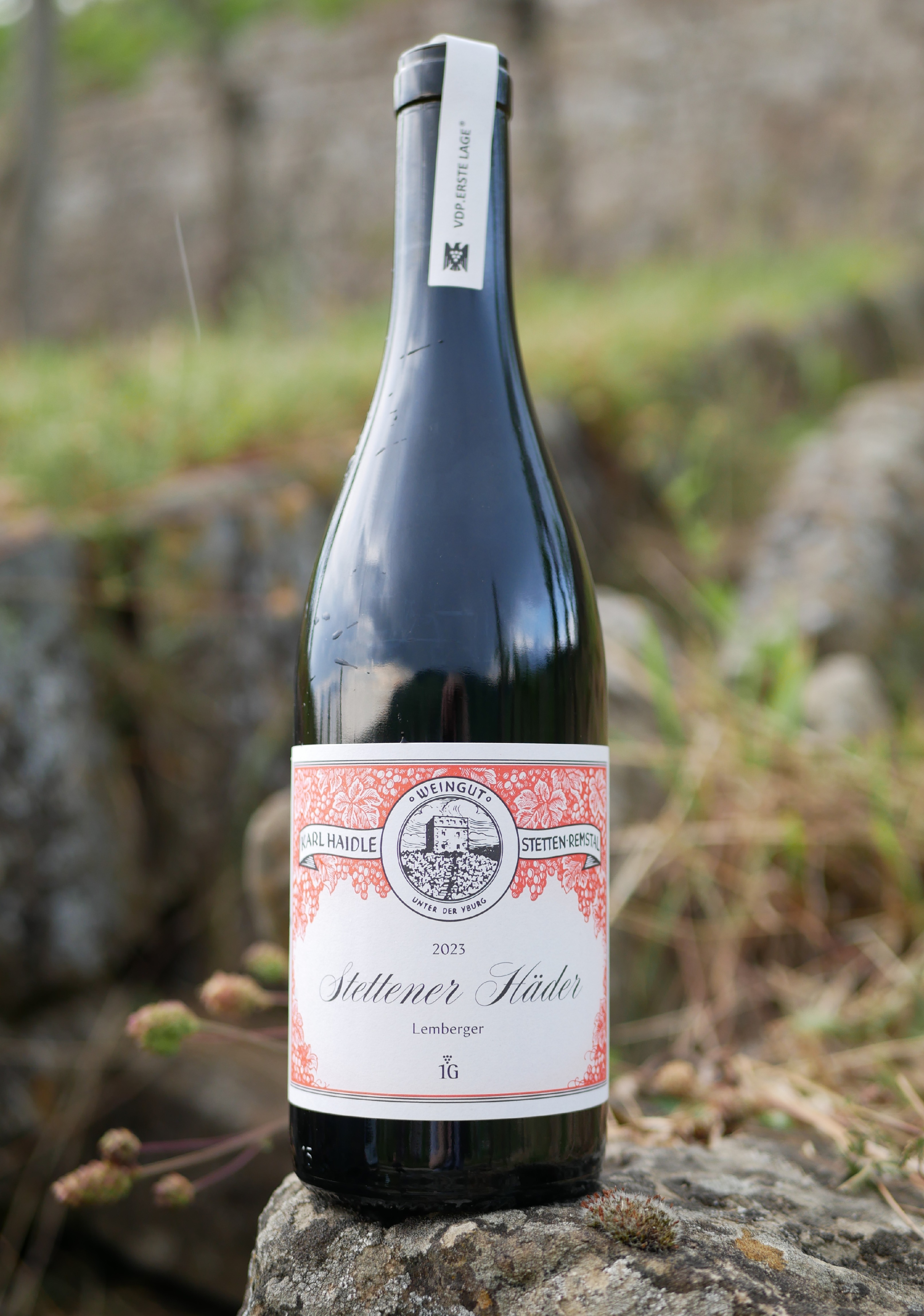 Stettener Häder  Lemberger Erstes Gewächs trocken