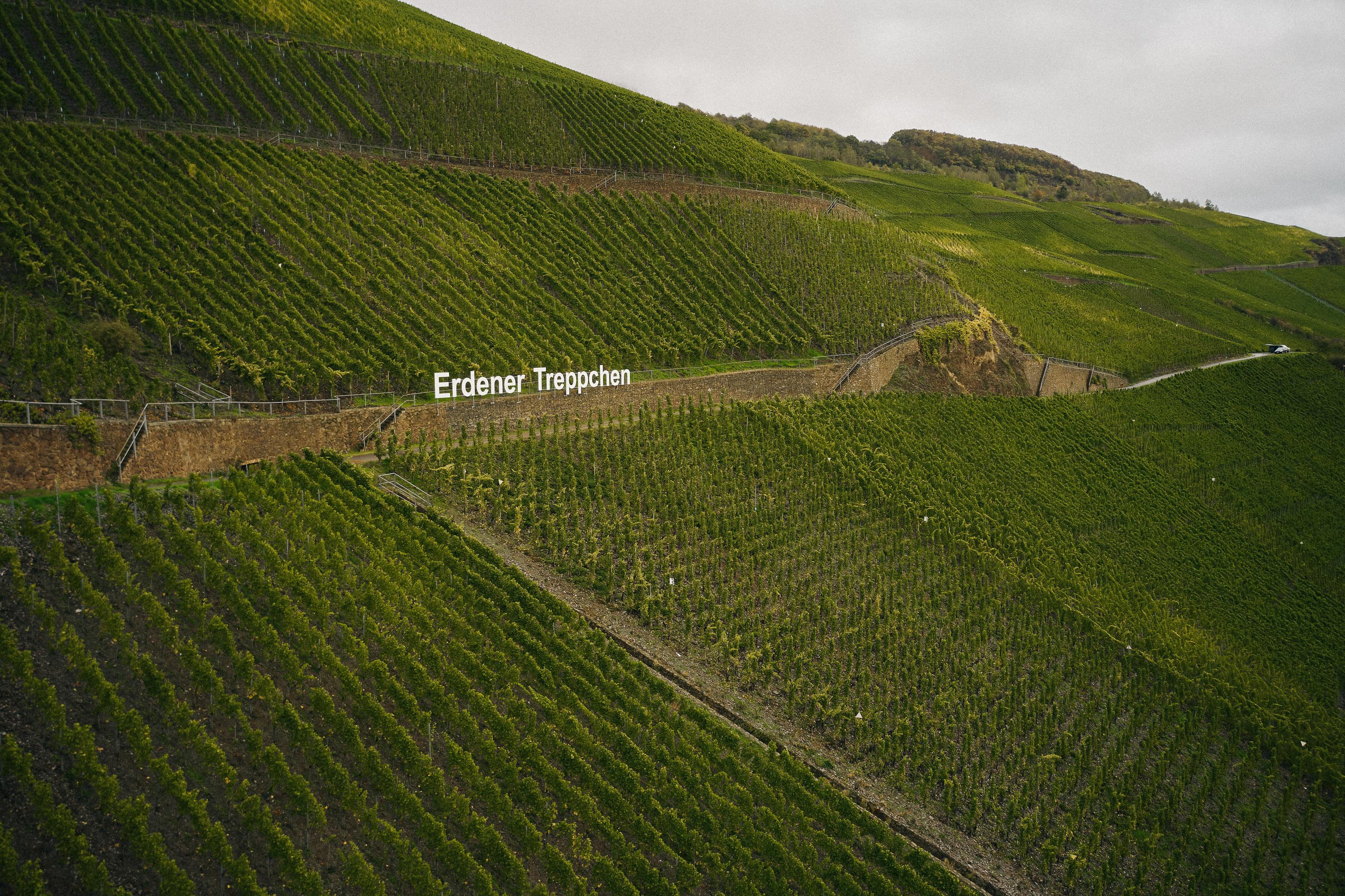 Bremer Weinberg in der Weinbergslage Erdener Treppchen an der Mosel